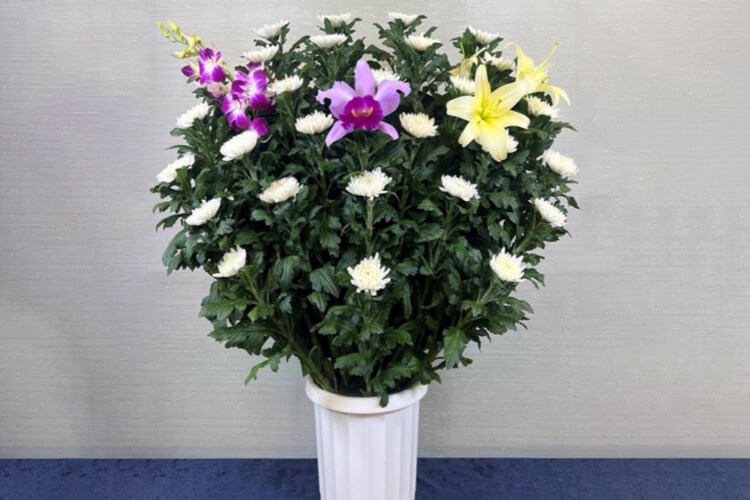 生花3