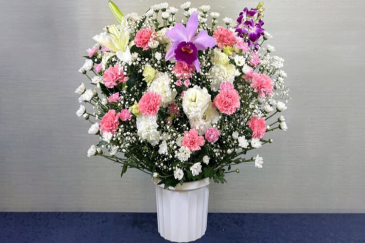 【洋花】